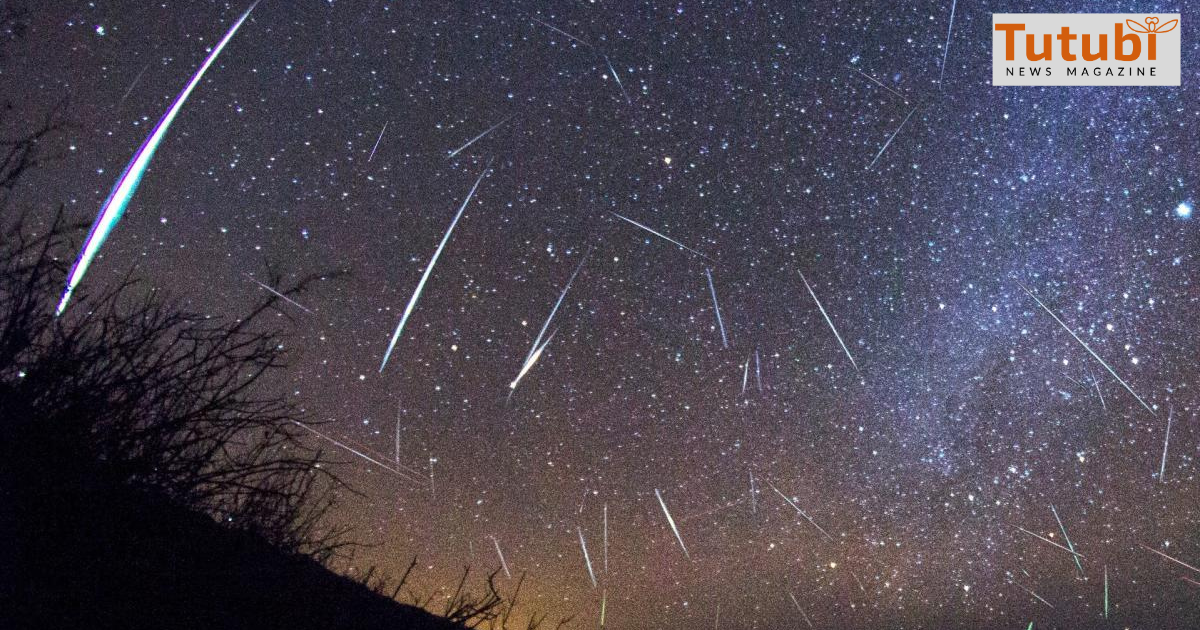 Celestial Finale: Year End Meteor Shower Extravaganza   Tutubi News